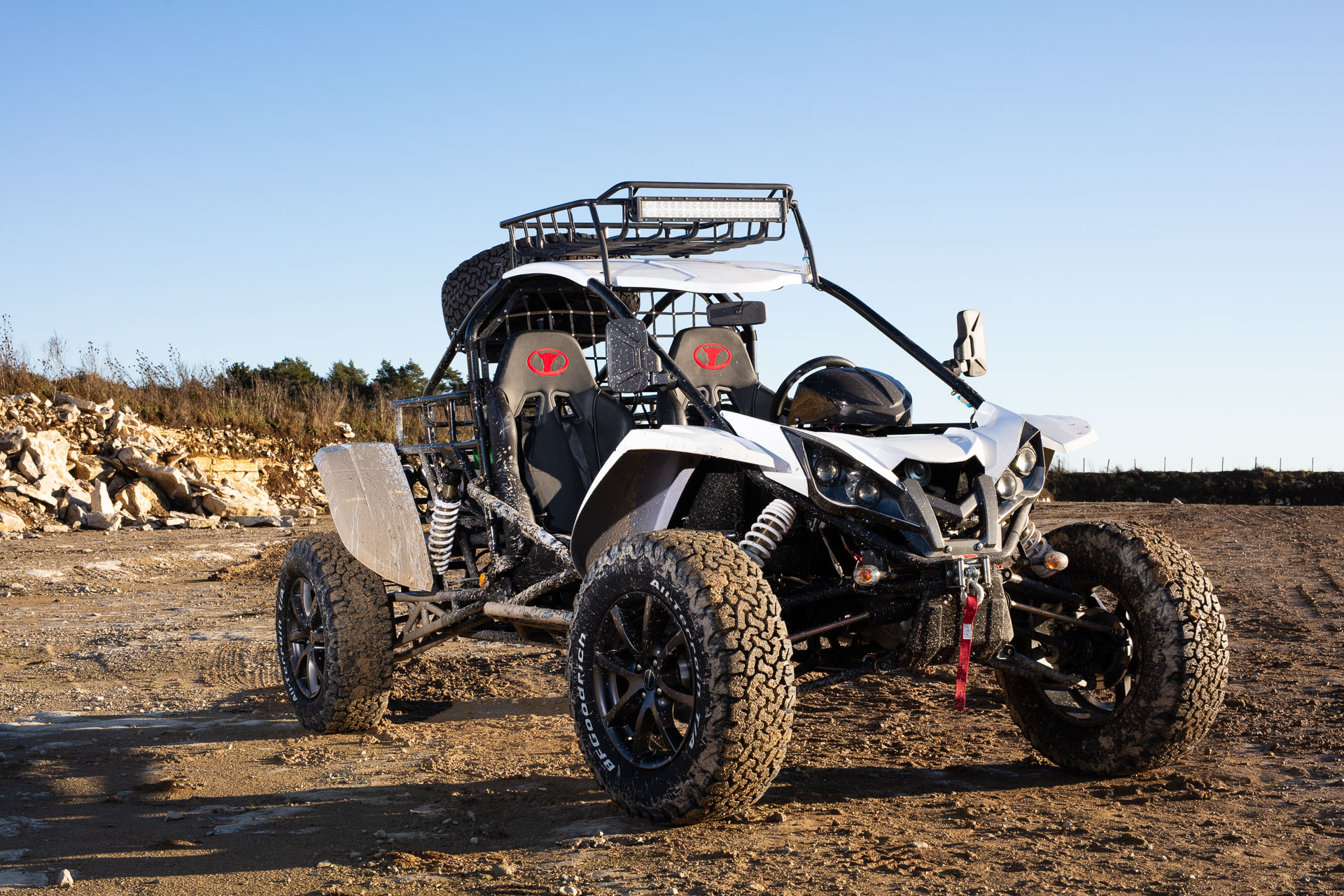 Renli buggy on sale